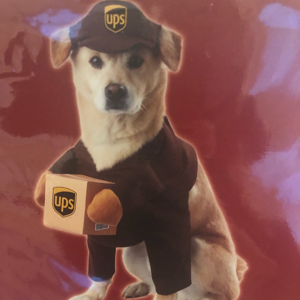 UPS Dog Halloween Costume